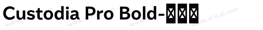 Custodia Pro Bold字体转换
